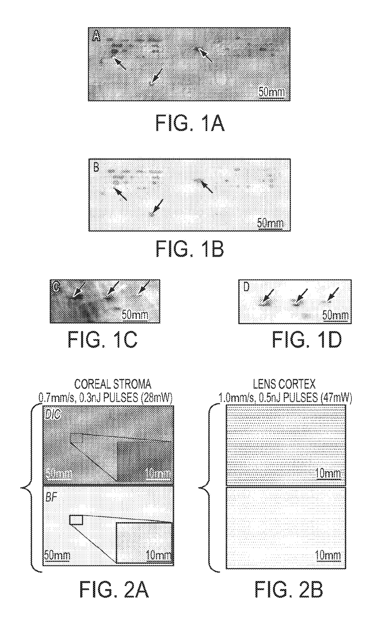 Multi-photon absorption for femtosecond micromachining and refractive index modification of tissues