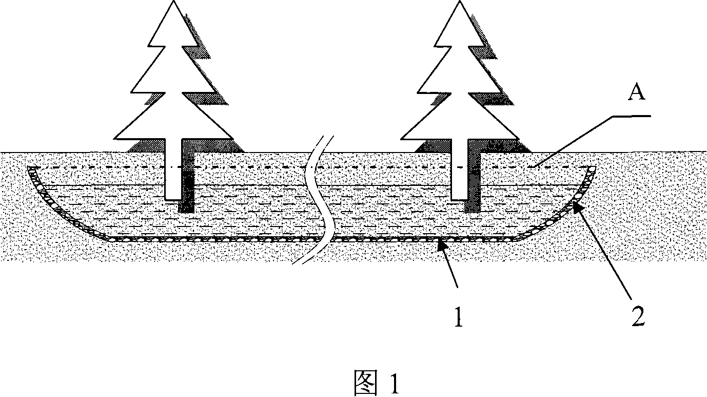 Desert greening water and soil conservation method and structure