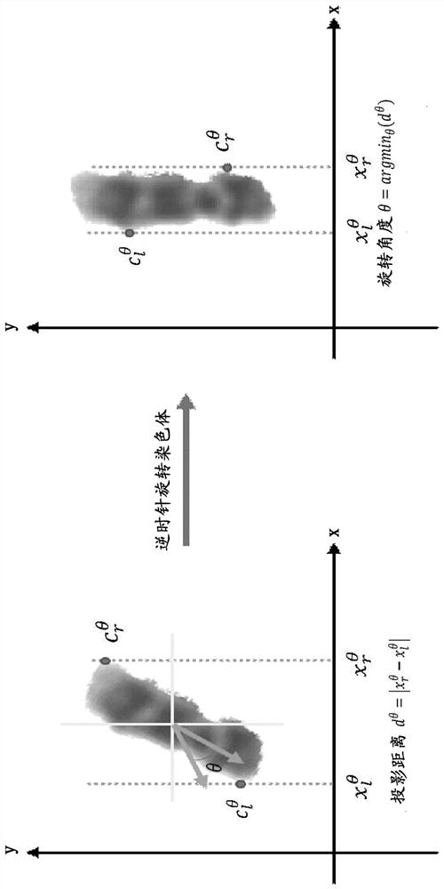 A deep learning-based chromosome polarity identification method and system