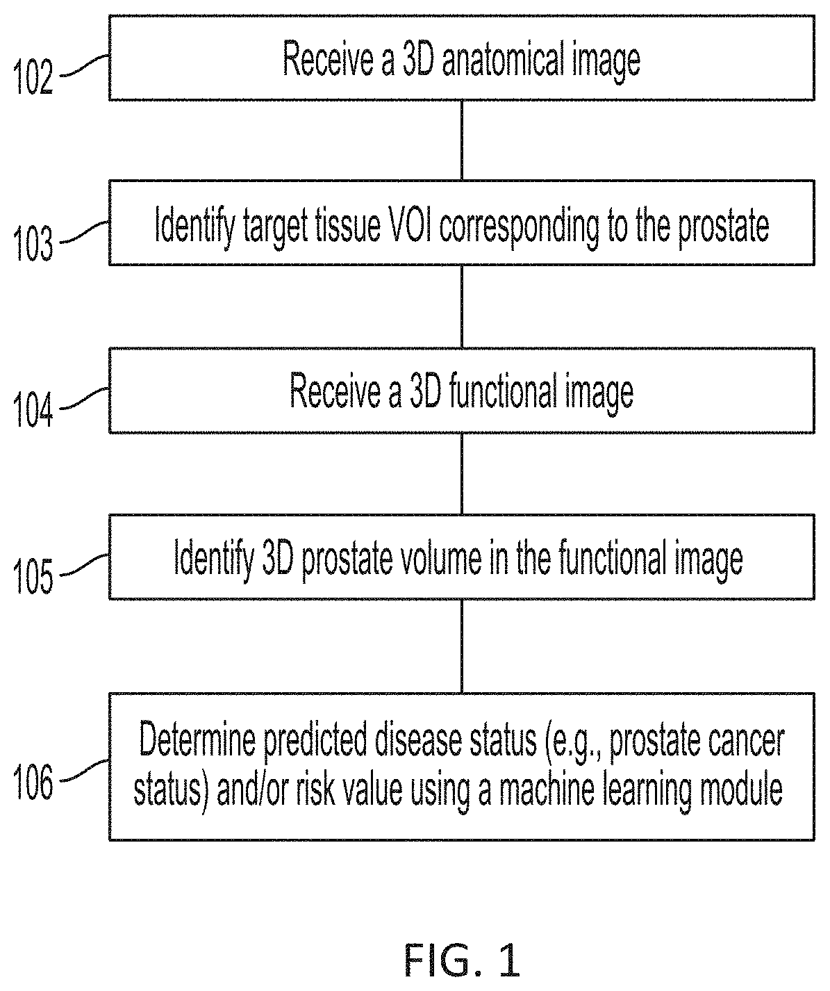 Systems and methods for artificial intelligence-based image analysis for cancer assessment