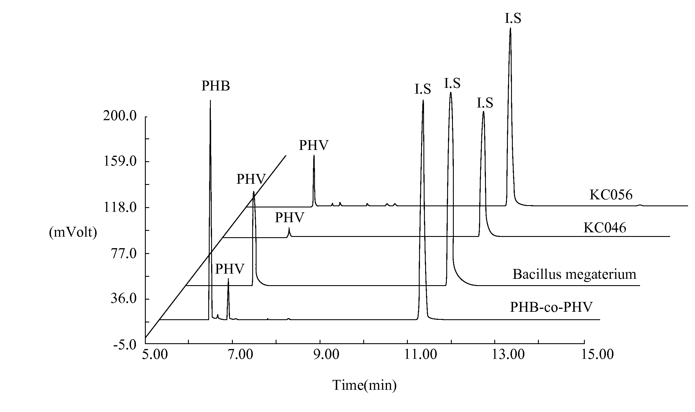 Method For Production Of High Purity Polyhydroxyalkanonate (PHAs)