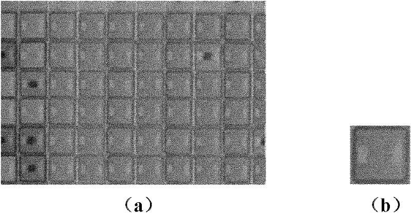 Industrial device rapid locating method based on machine vision