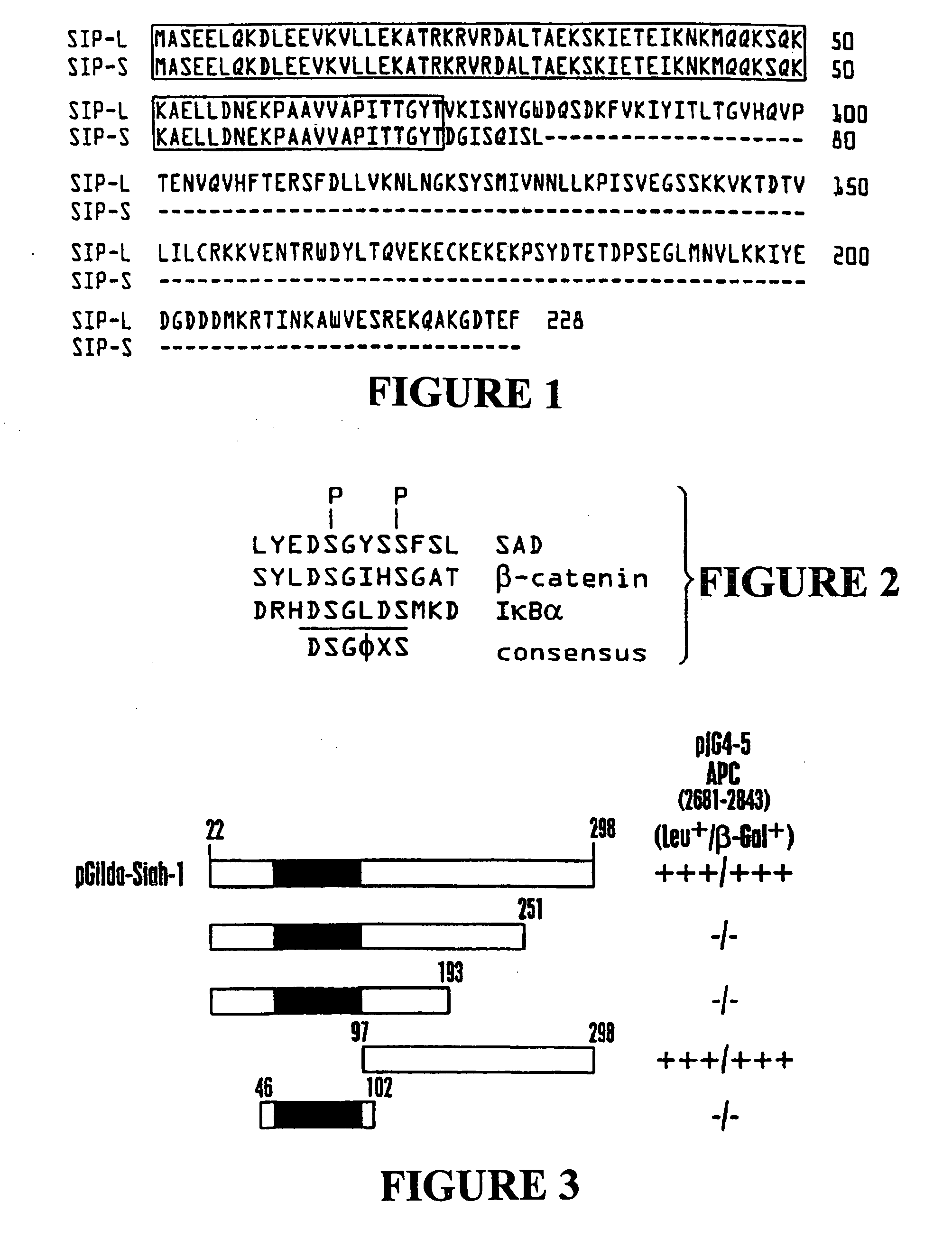 Nucleic acid encoding proteins involved in protein degradation, products and methods related thereof