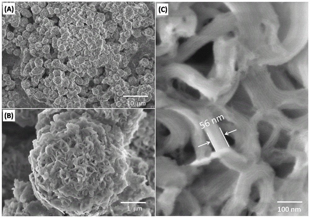 Spherical ordered graded mesoporous silicon dioxide and preparation method thereof