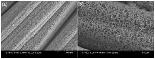 Method for preparing metal hetero atom doped two-dimensional SnS2 nanosheet array vertically grown on carbon cloth as sodium ion battery anode material