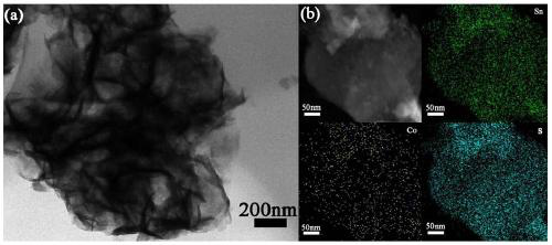 Method for preparing metal hetero atom doped two-dimensional SnS2 nanosheet array vertically grown on carbon cloth as sodium ion battery anode material