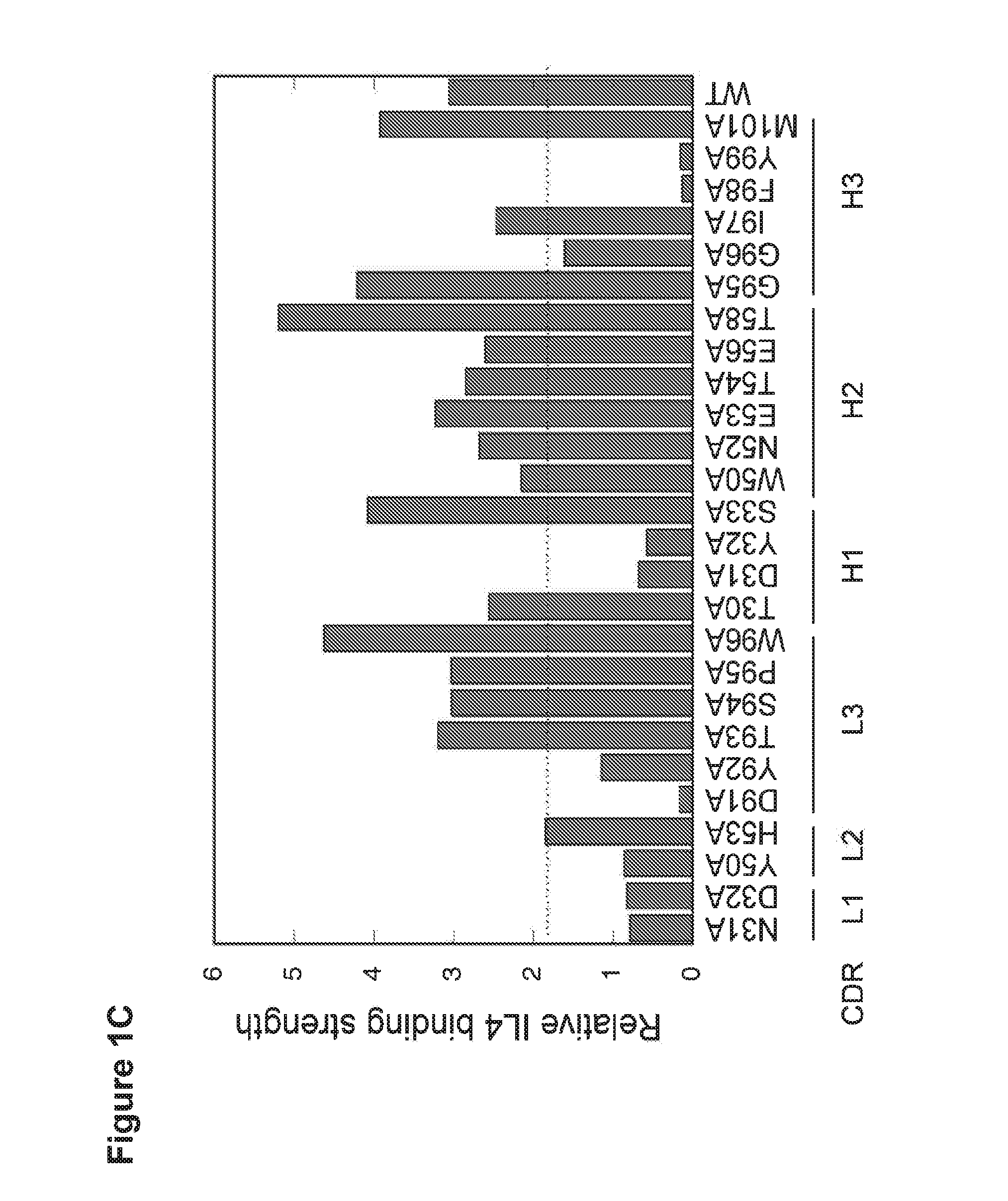 Dual specific antibodies