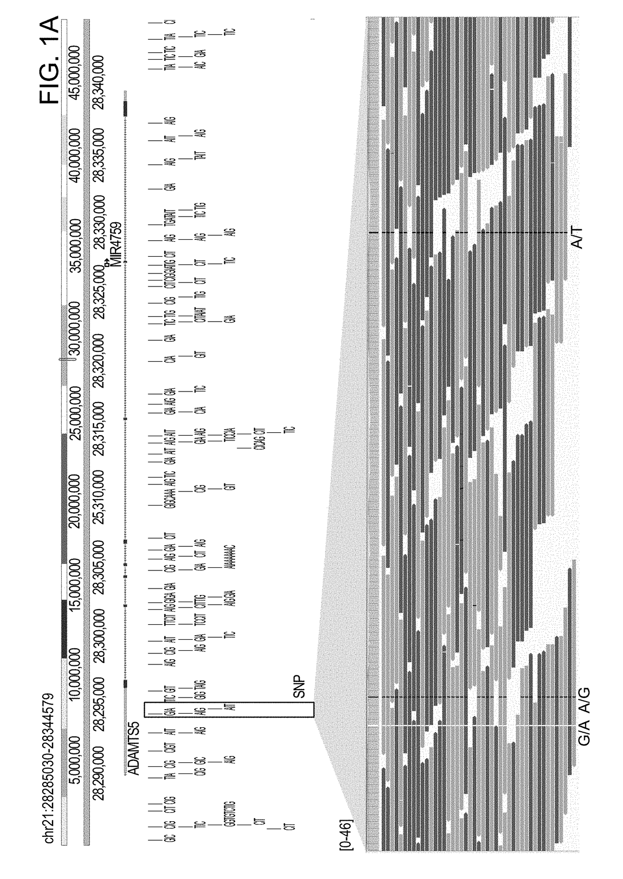 Comprehensive methods for detecting genomic variations