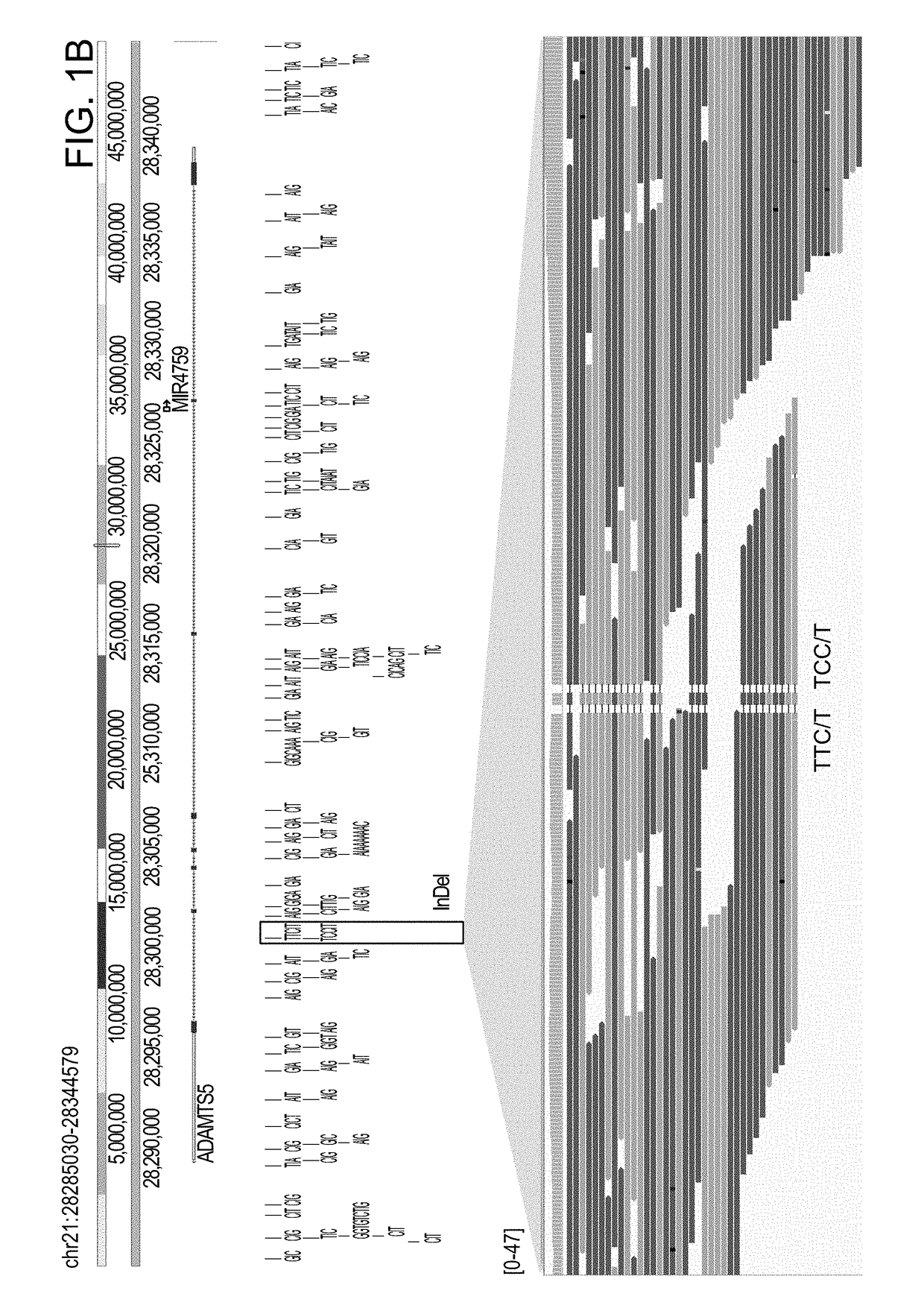 Comprehensive methods for detecting genomic variations