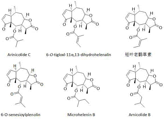 A kind of goose not herbivorous extract and its preparation method and application