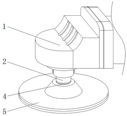 Grinding machine capable of quickly disassembling and assembling grinding sheet