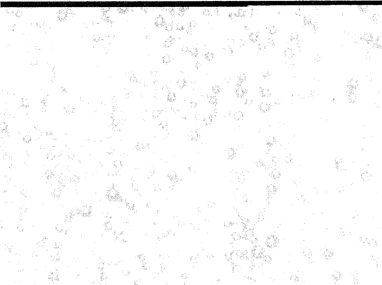 Emulsion spray drying method for preparing ultrasound microbubble contrast agent in batch