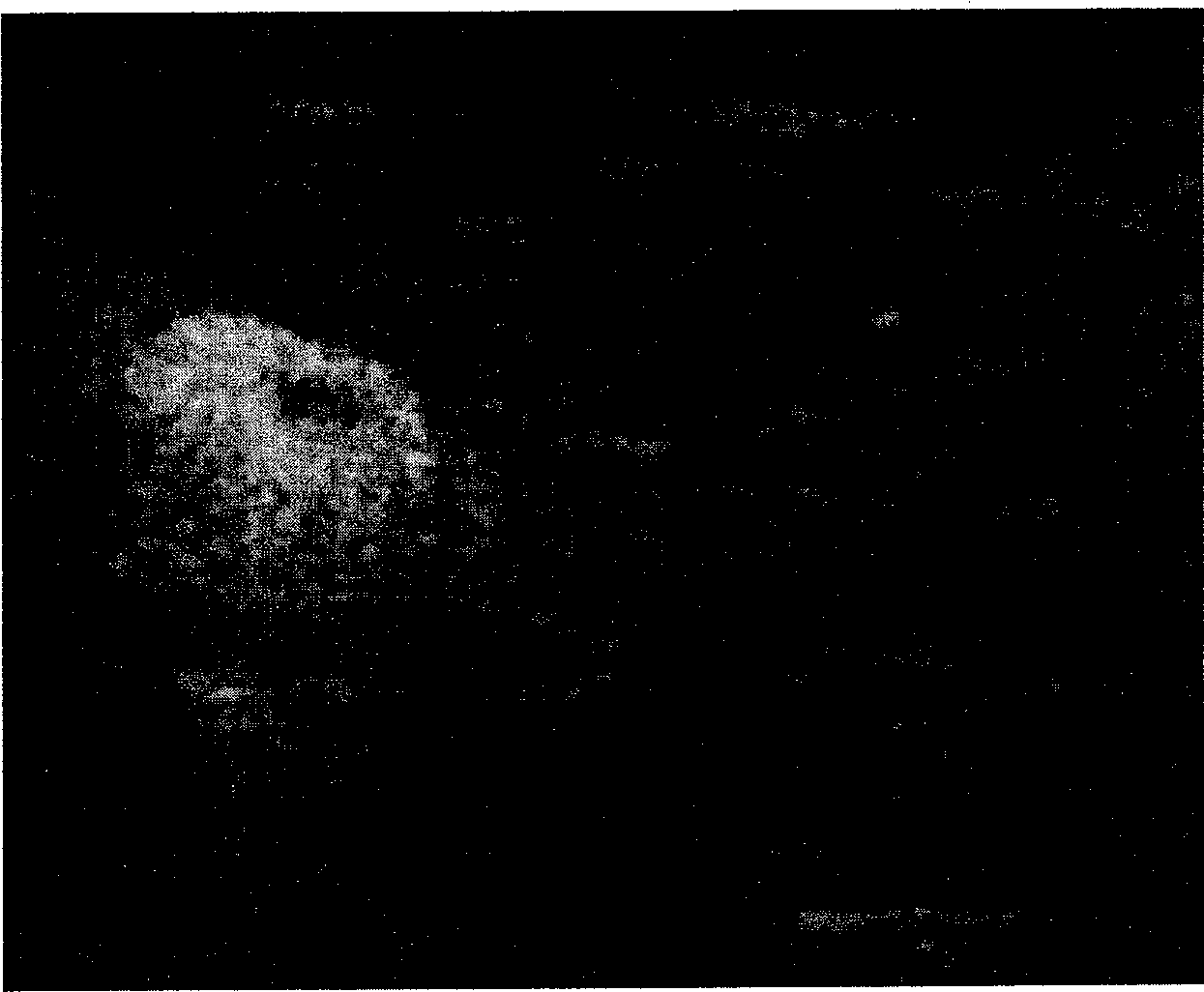 Emulsion spray drying method for preparing ultrasound microbubble contrast agent in batch