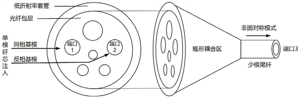 A photonic lantern type degenerate module multiplexer/demultiplexer and transmission method