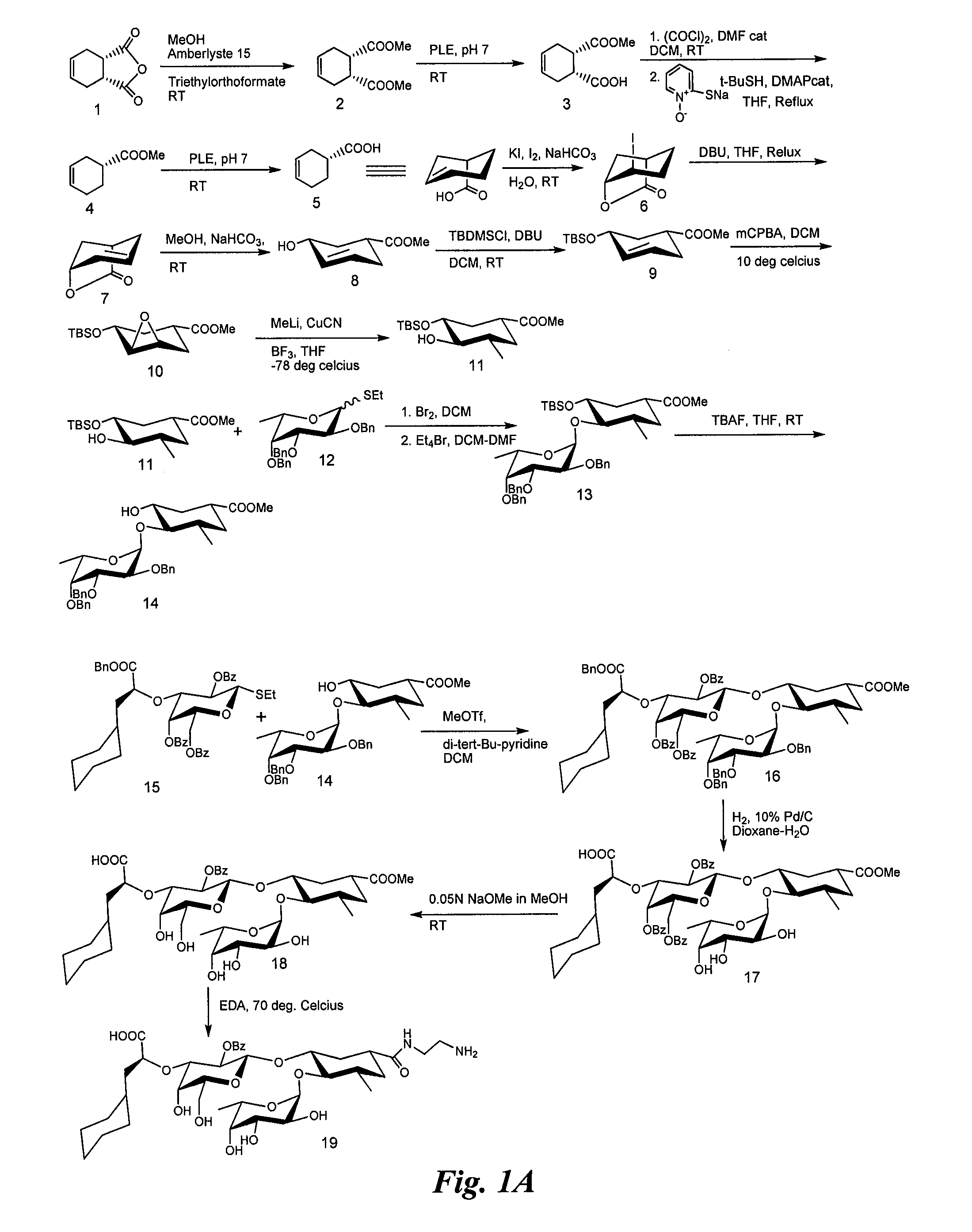 Heterobifunctional inhibitors of e-selectins and cxcr4 chemokine receptors