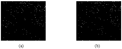 A Method of Random Encryption and Double-blind Confidential Matching of Images