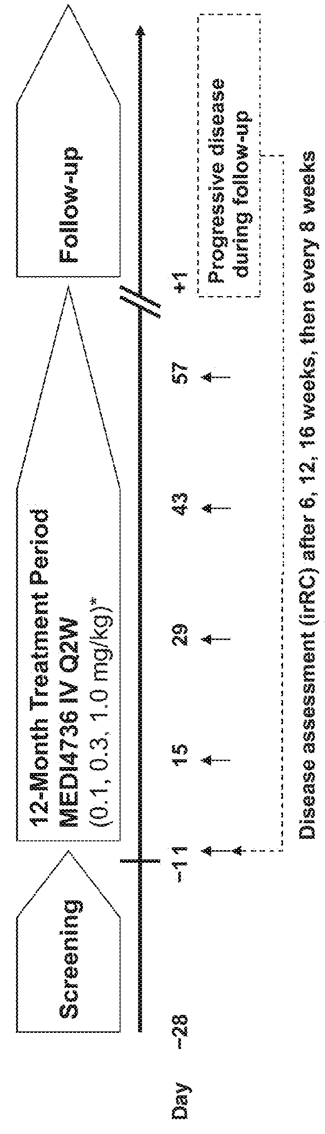 Antagonists of pdl-1 and pd-1 for the treatment of hpv-negative cancers