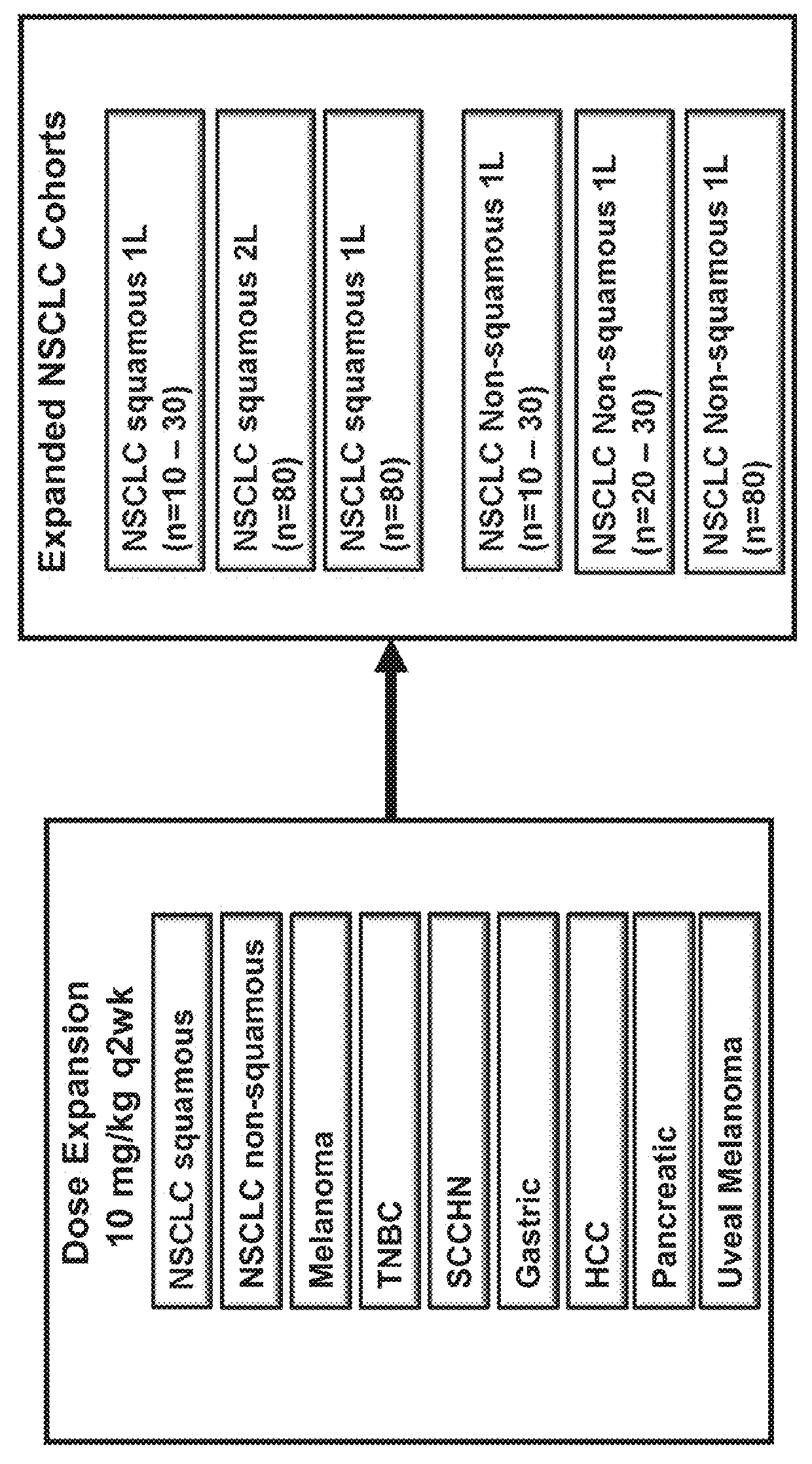 Antagonists of pdl-1 and pd-1 for the treatment of hpv-negative cancers