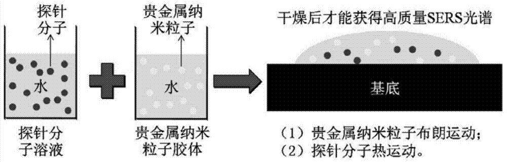 Preparation method of micro/nano dendritic silver super-hydrophilicity film and application of film in surface enhanced Raman substrate