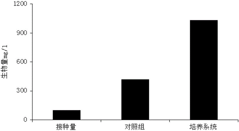 Self-driven ulothrix culturing device and cultural method thereof