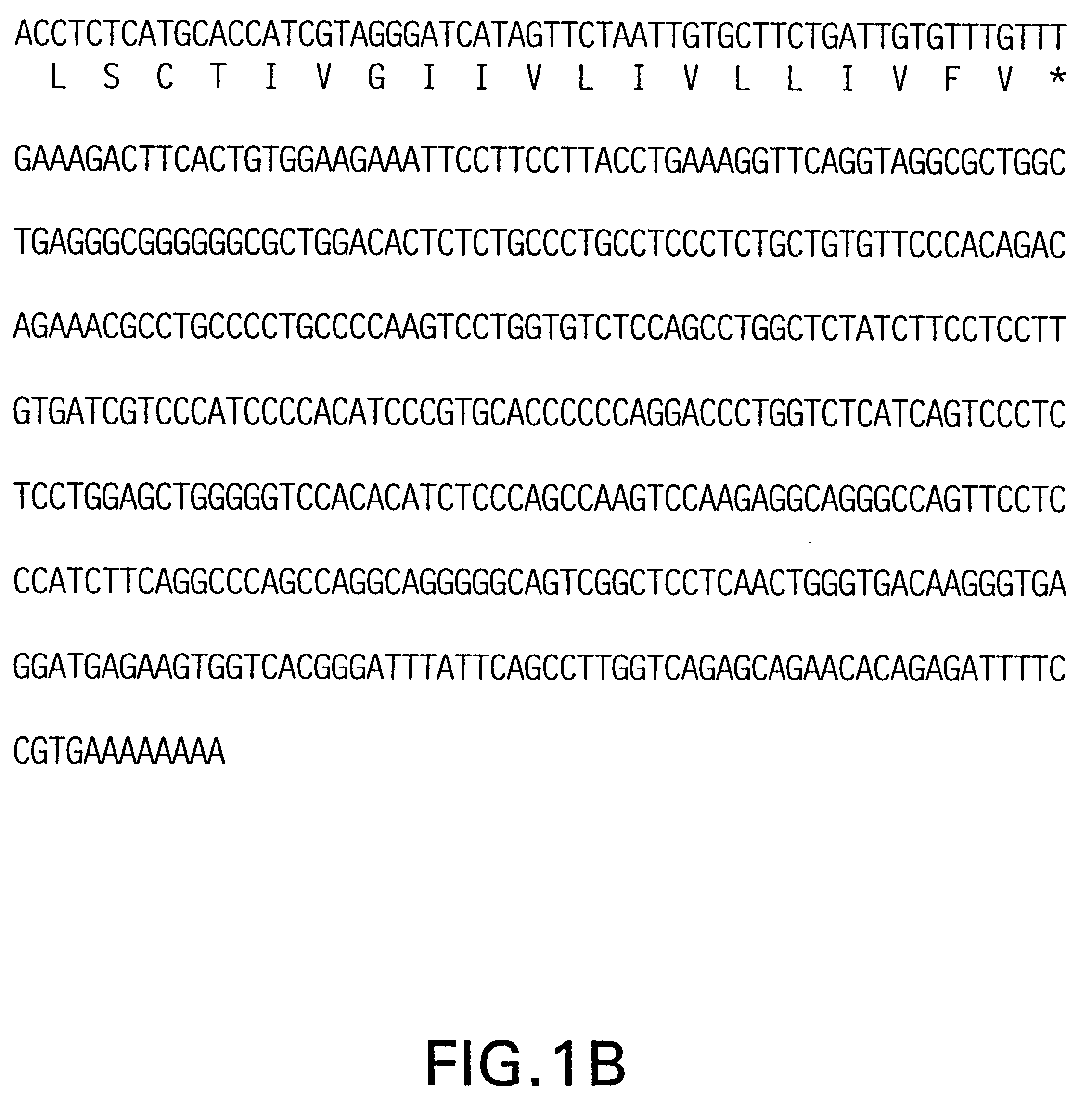 Nucleic acids encoding tumor necrosis factor receptor 5