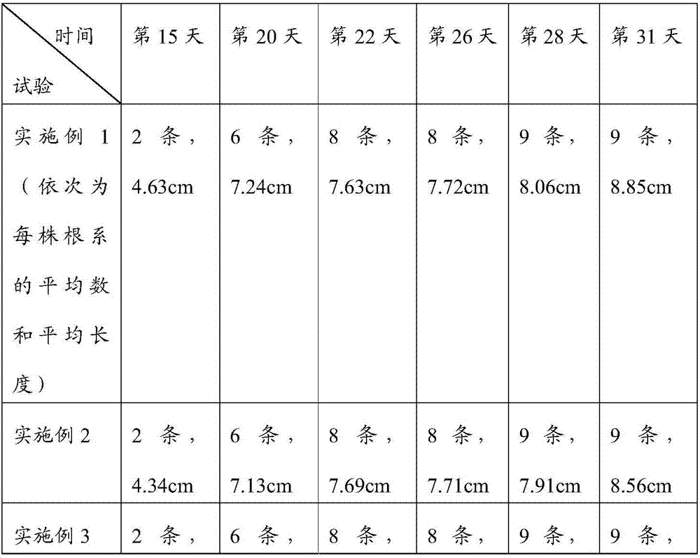 Hydroponic method for disporum cantoniense