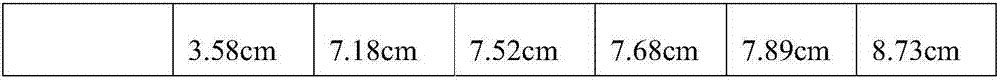 Hydroponic method for disporum cantoniense