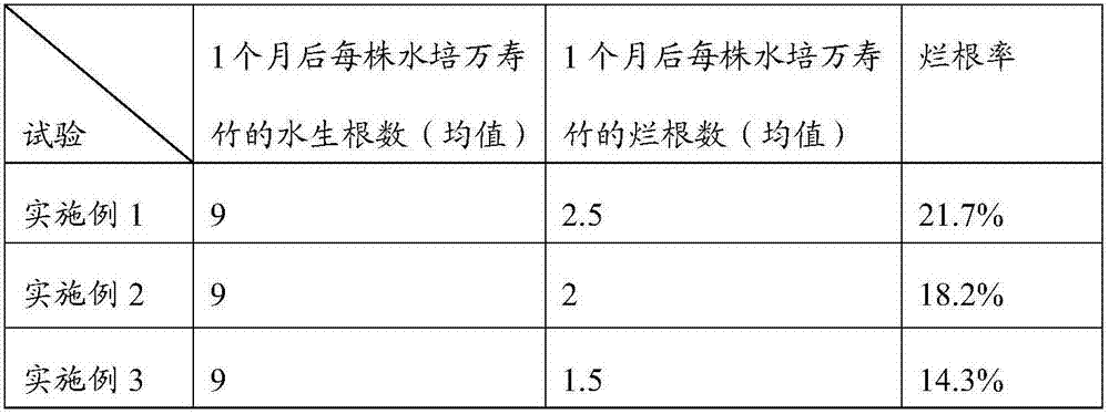 Hydroponic method for disporum cantoniense