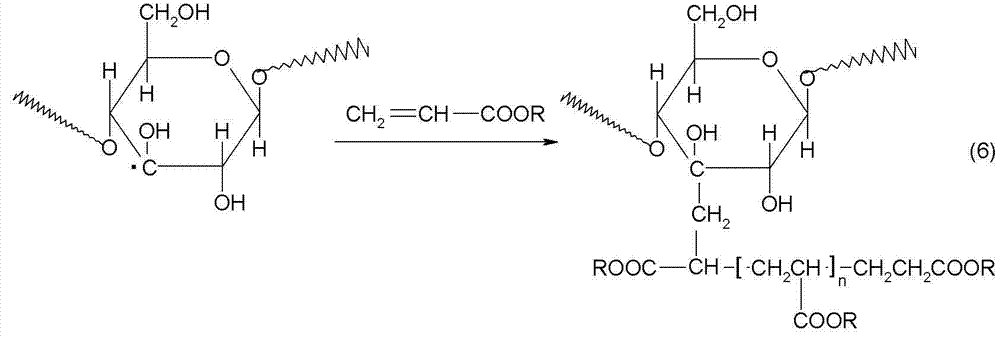 Method for producing modified starch size through bio-enzyme