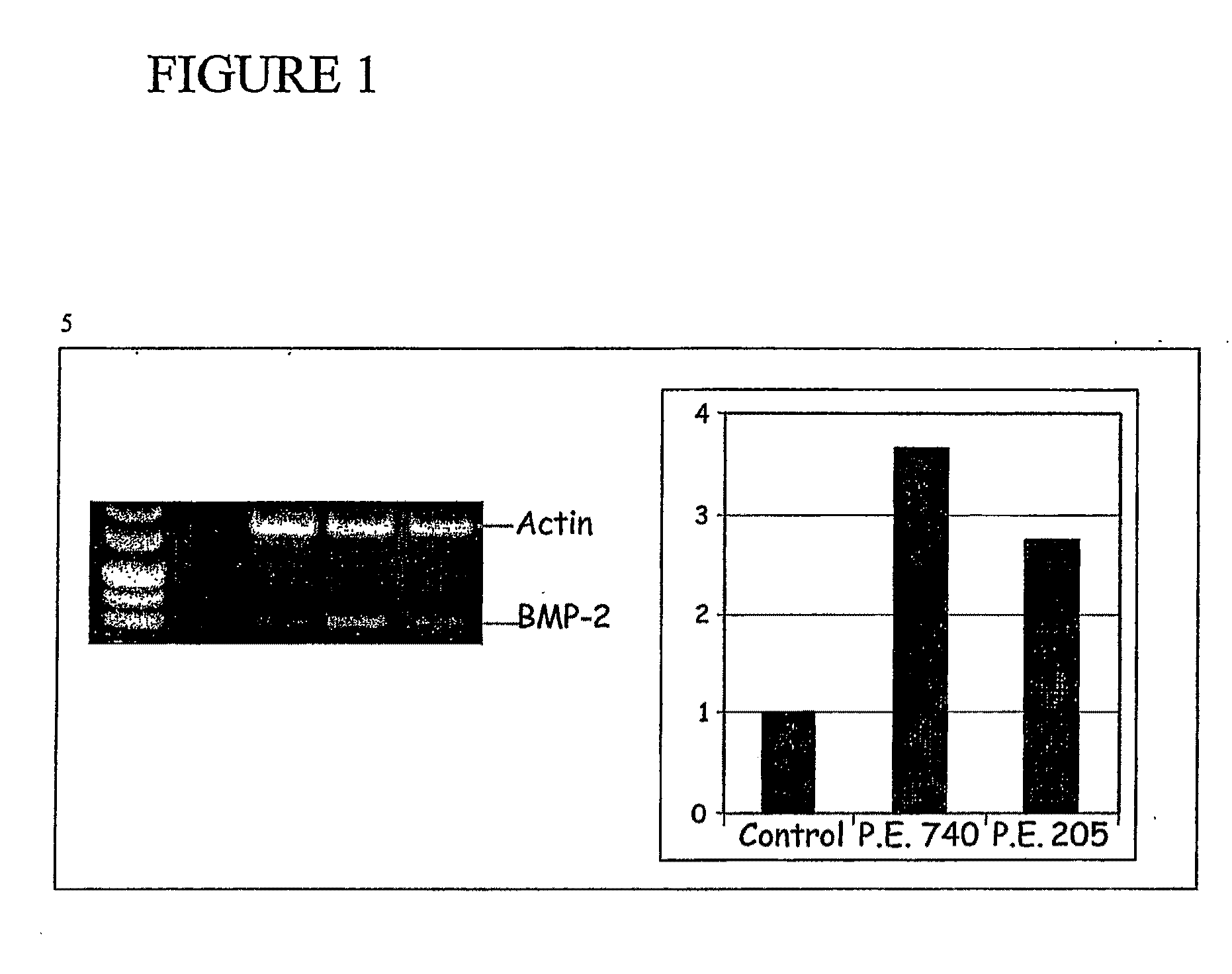 Composition for promotion of bone growth and maintenance of bone health