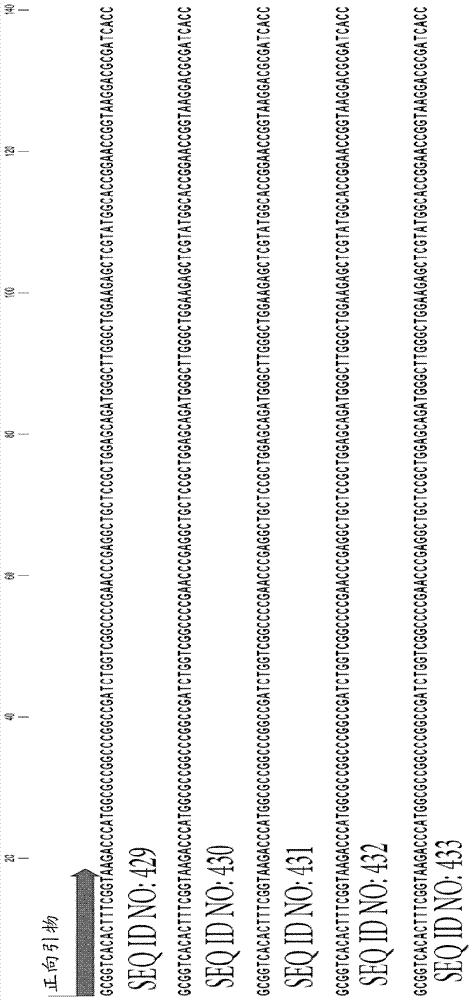 Compositions and methods for detection of drug resistant mycobacterium tuberculosis