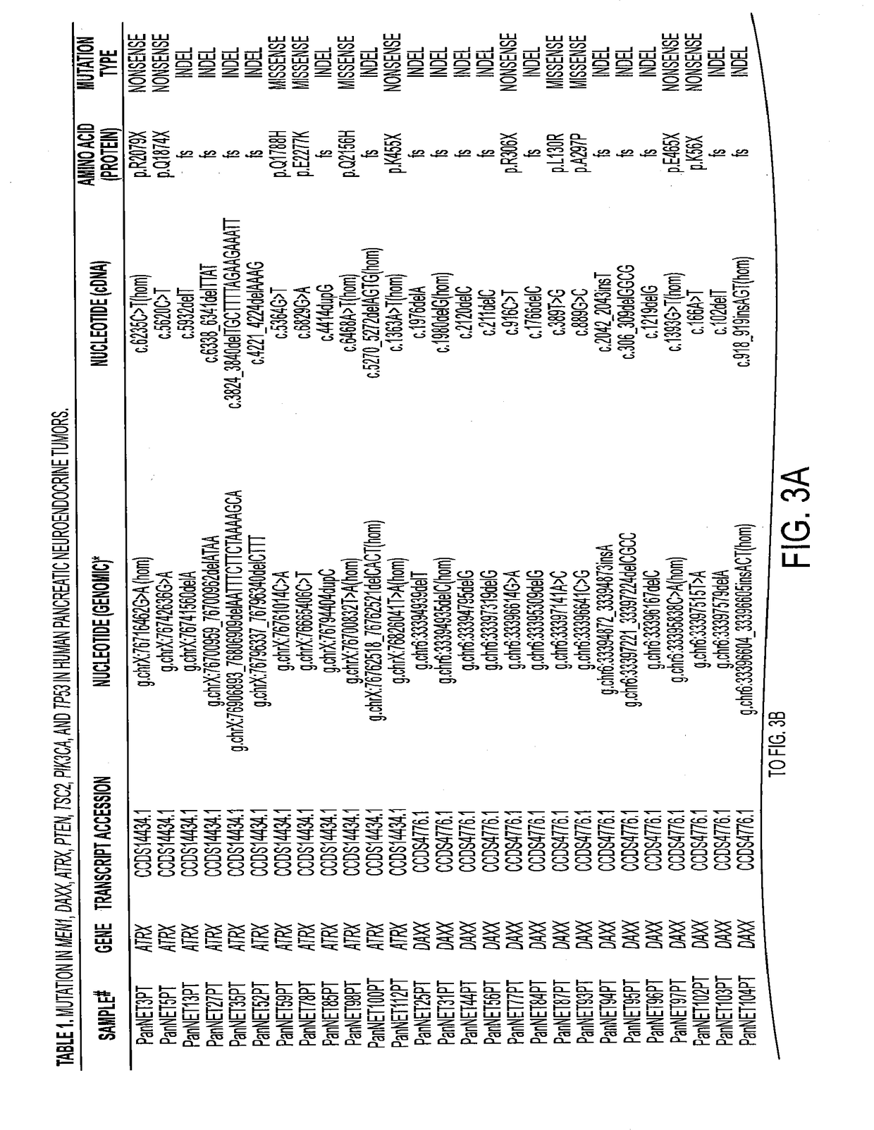 Genes frequently altered in pancreatic neuroendocrine tumors