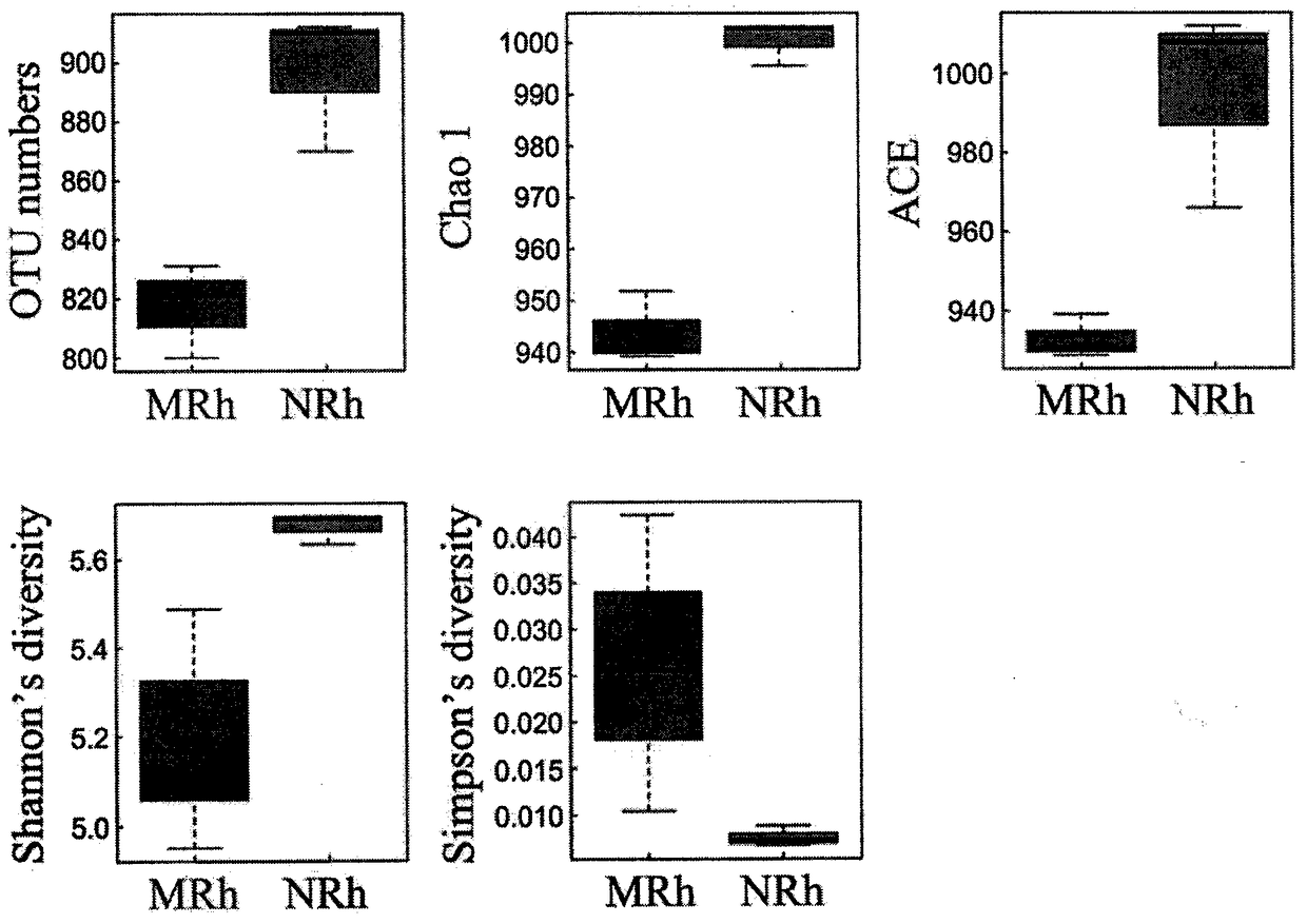 Method for detecting prokaryotic microorganisms in crop rhizosphere based on high-throughput sequencing