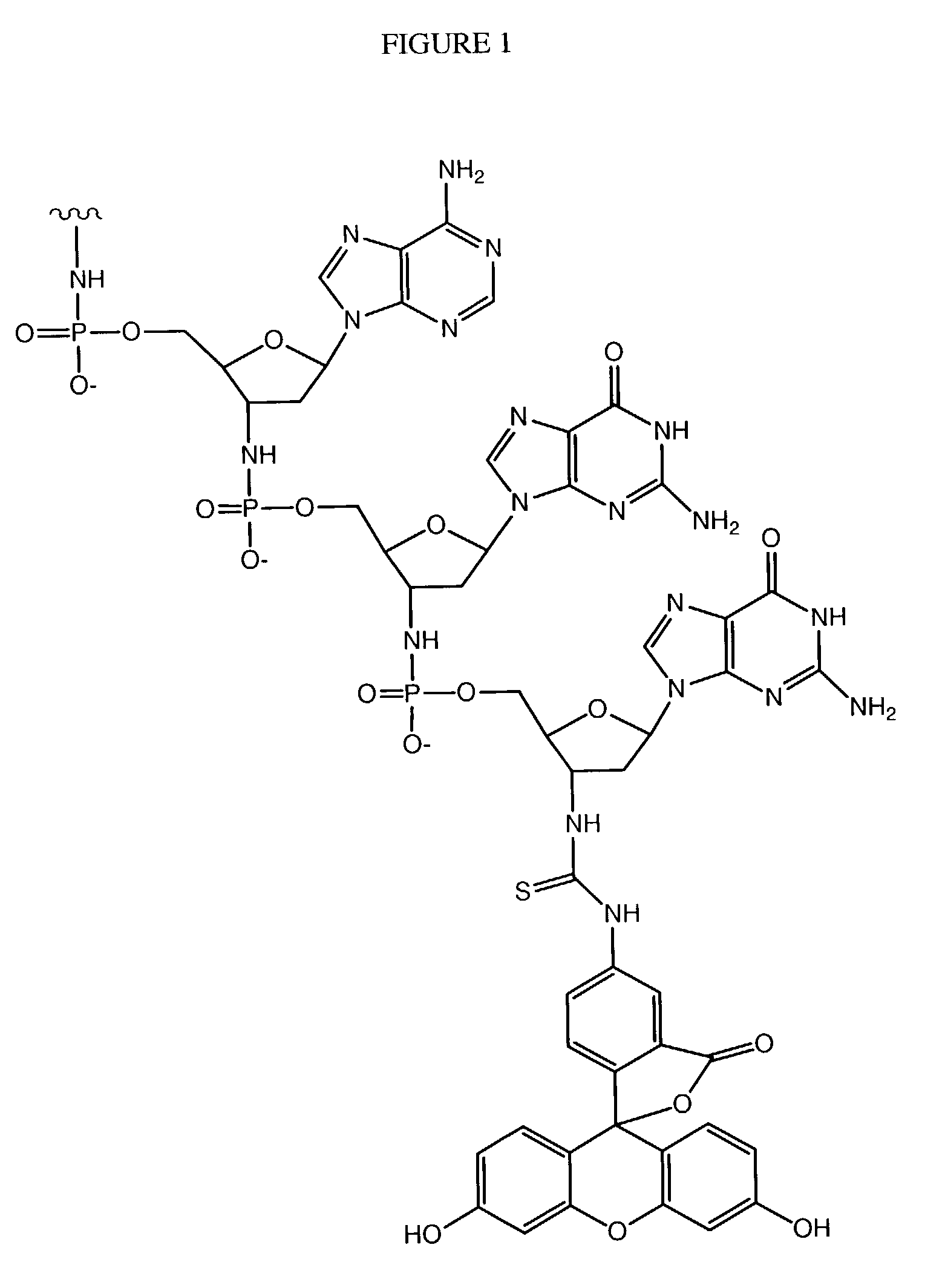 Oligonucleotide conjugates