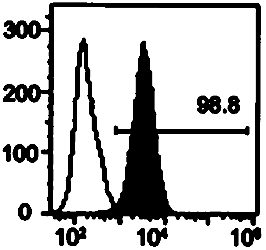 Extraction method of specific mesenchymal stem cell exosome