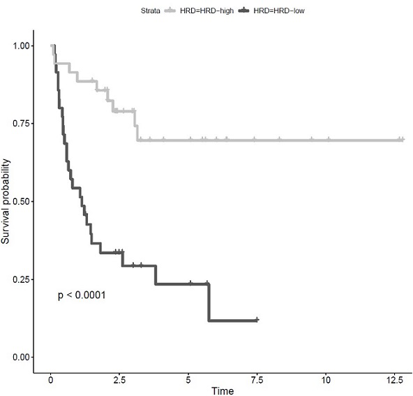 Method for evaluating HRD score based on low-depth WGS