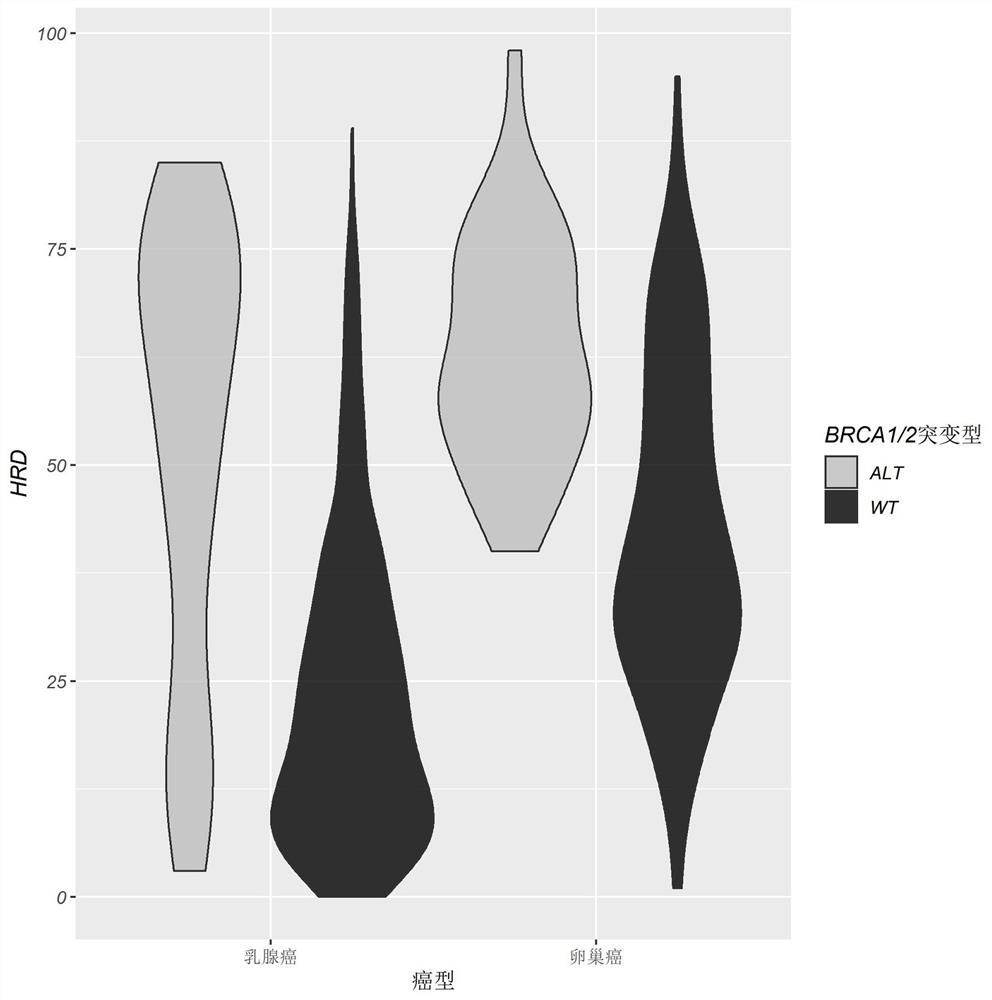 Method for evaluating HRD score based on low-depth WGS