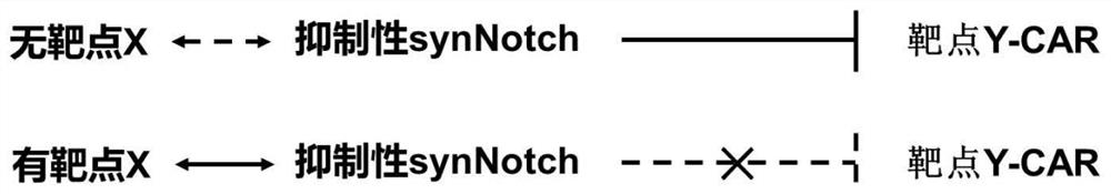 A kind of inhibitory synthetic notch and dual target system and its preparation method and application