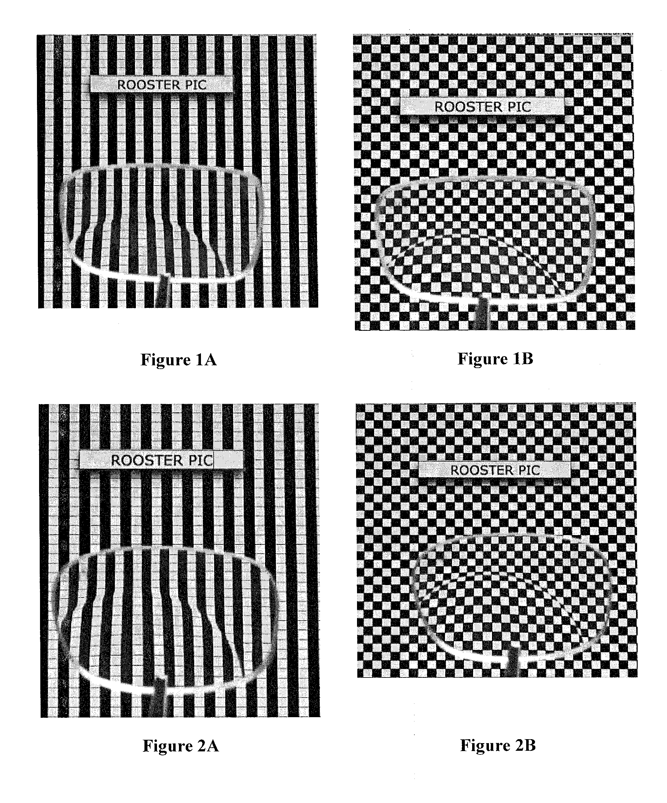 Multifocal Lens Having a Progressive Optical Power Region and Discontinuity