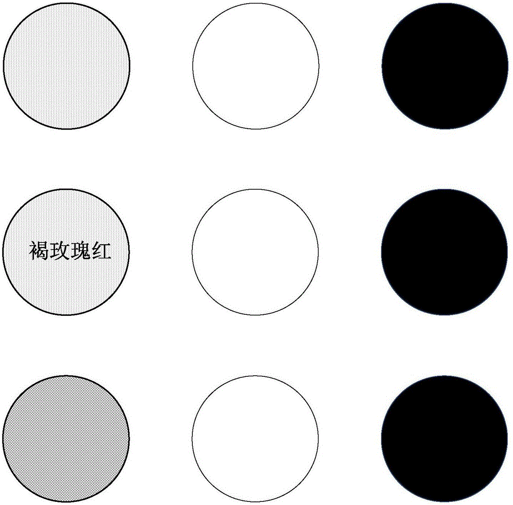 An augmented reality system realizing assisted color identification and a method thereof