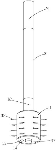 Pickup device for walnuts with green husks