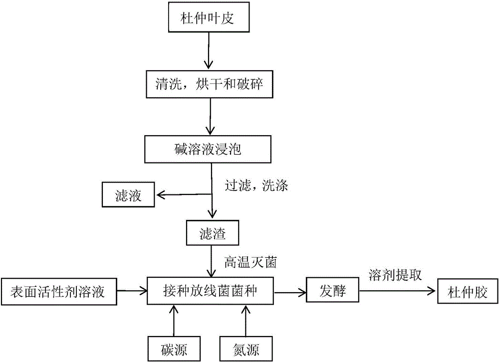 Method for extracting gutta-percha from leaves and bark of eucommia ulmoides