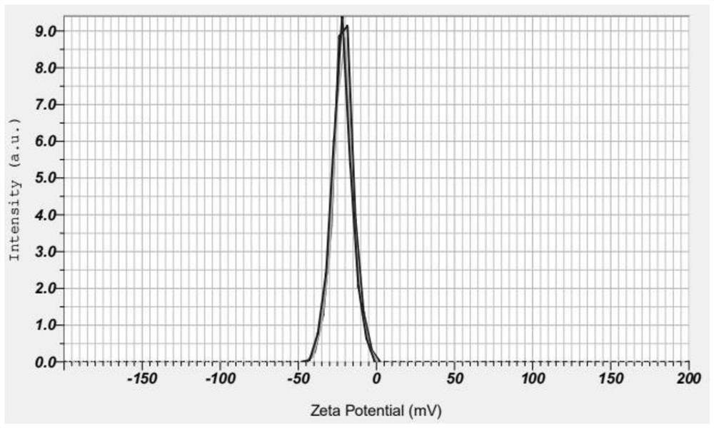 Curcumin powder mist inhalation preparation and preparation method thereof