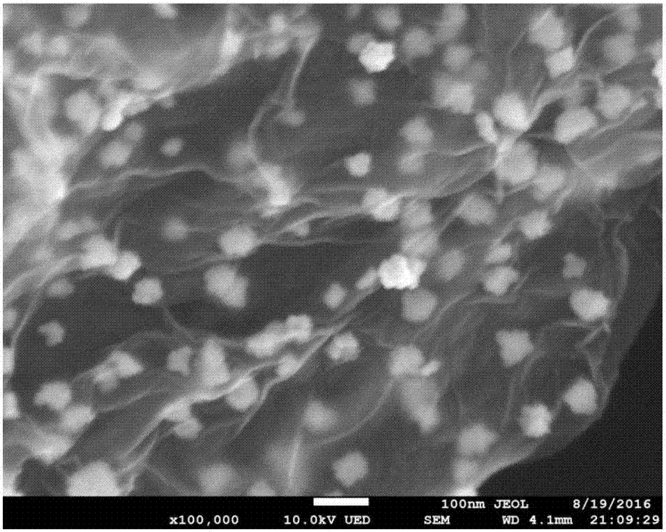 Nanocomposite material and preparing method and application thereof