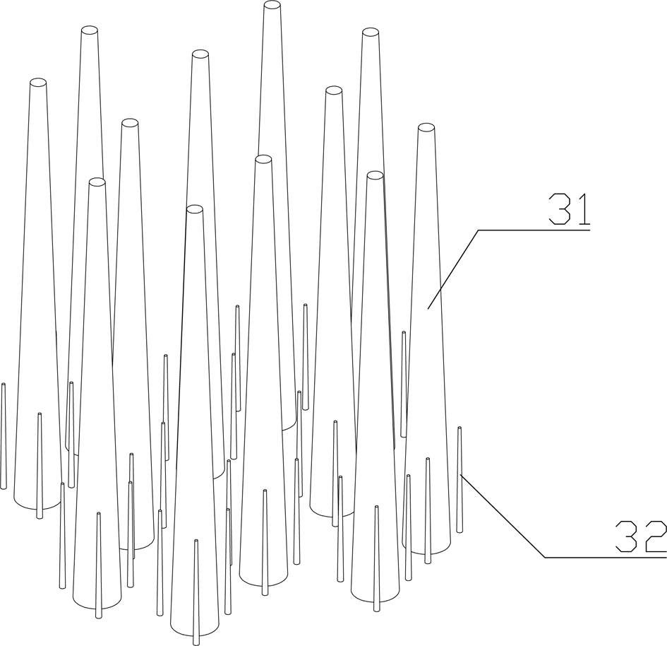 Planting method of fraxinus chinensis economic forest