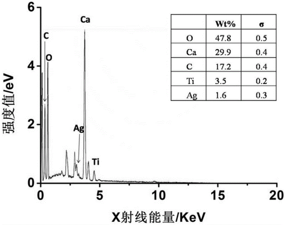 Nano calcium carbonate catalyst wrapped by Ag-loaded titanium dioxide nanoparticles, as well as preparation method and application of nano calcium carbonate catalyst