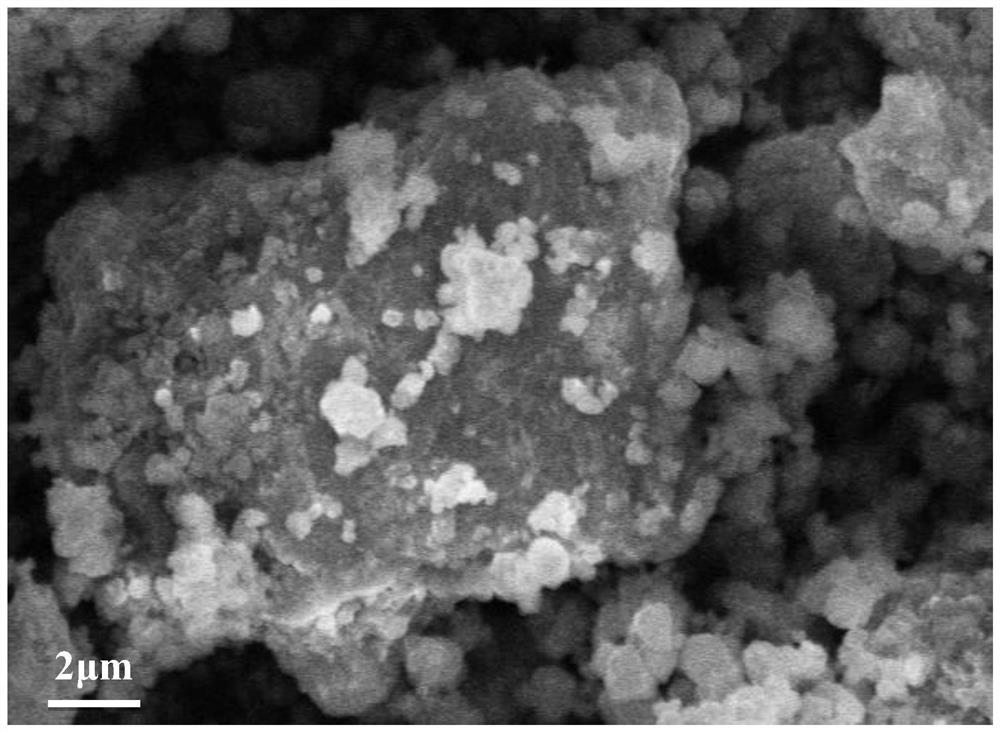 Preparation method and application of lithium-sulfur battery positive electrode material