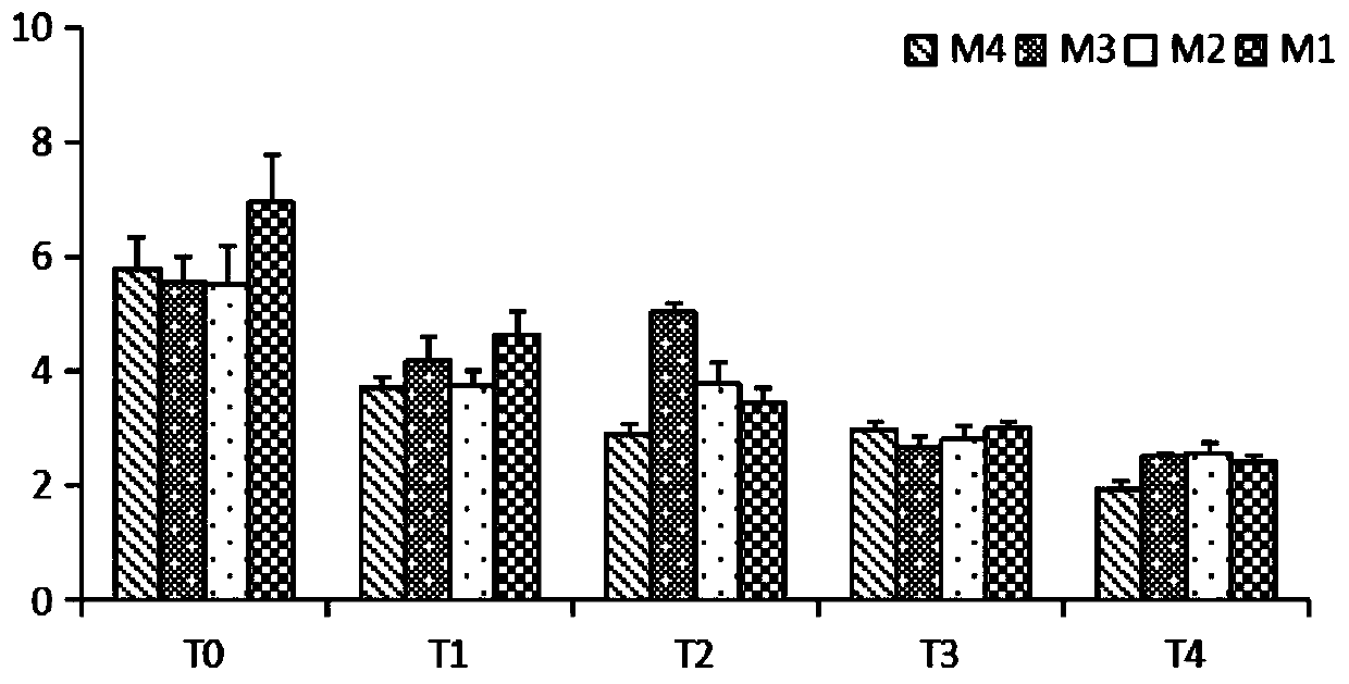 Configuration method for purifying polycyclic aromatic hydrocarbon pollution in coastal wetland by suaeda salsa