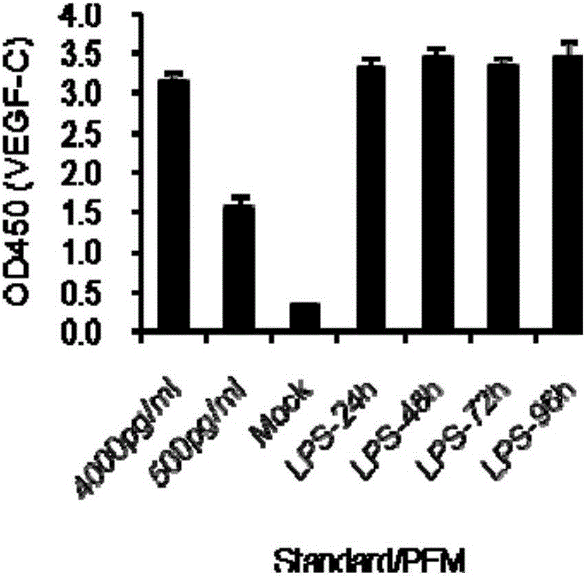 Application of vegf-c in the preparation of diagnostic reagents for sepsis and severe bacterial infection