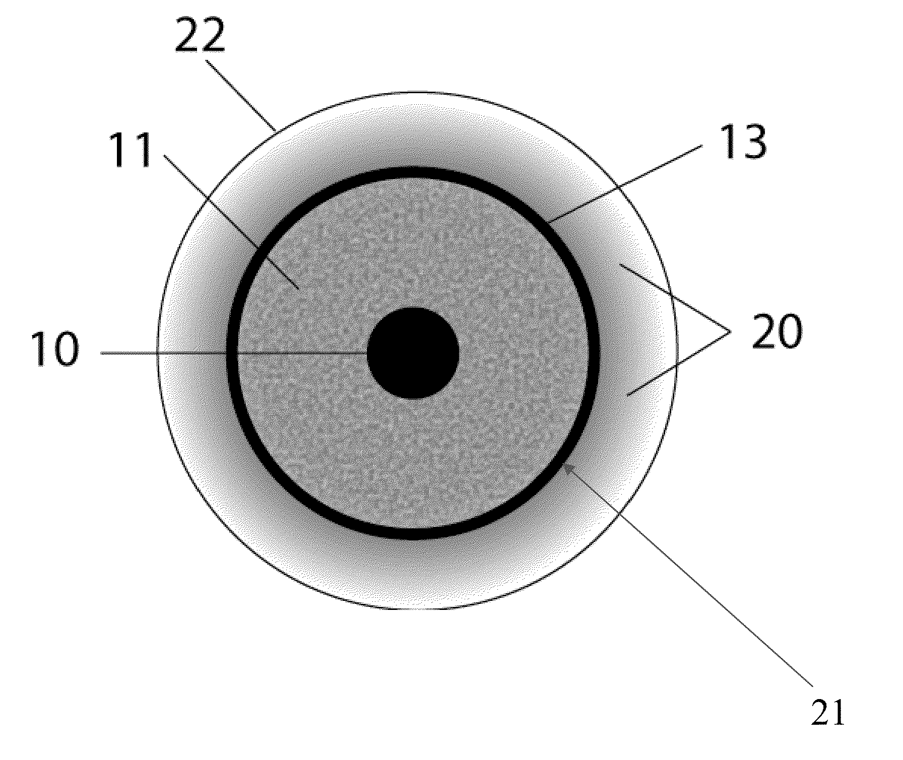 Oriented contact lens with brightly colored sclera